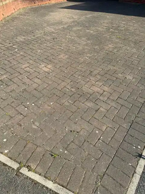 driveway cleaning Yate before – moss and weeds in block paving